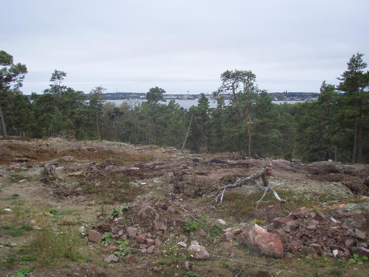 utsikt efter avverkning tomt 4 42124.JPG - Utsikt efter avverkning.